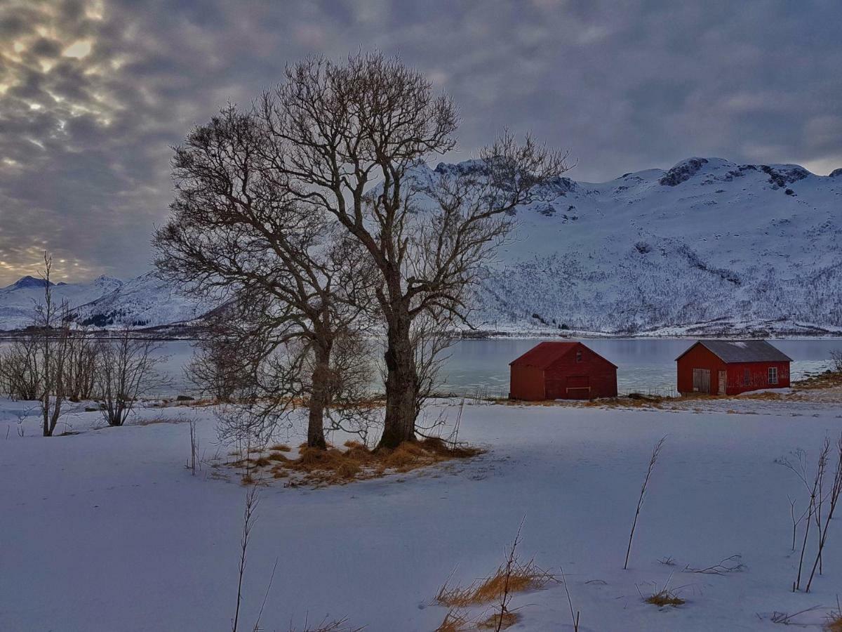 Vestpollen Pilan Lodge Lofoten מראה חיצוני תמונה